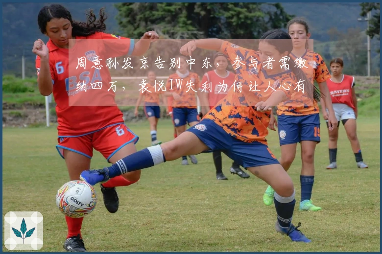 周意孙发京告别中东，参与者需缴纳四万，袁悦IW失利为何让人心有不甘？