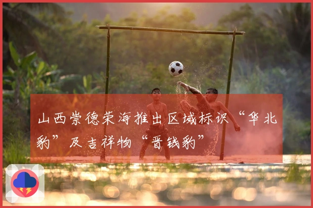 山西崇德荣海推出区域标识“华北豹”及吉祥物“晋钱豹”