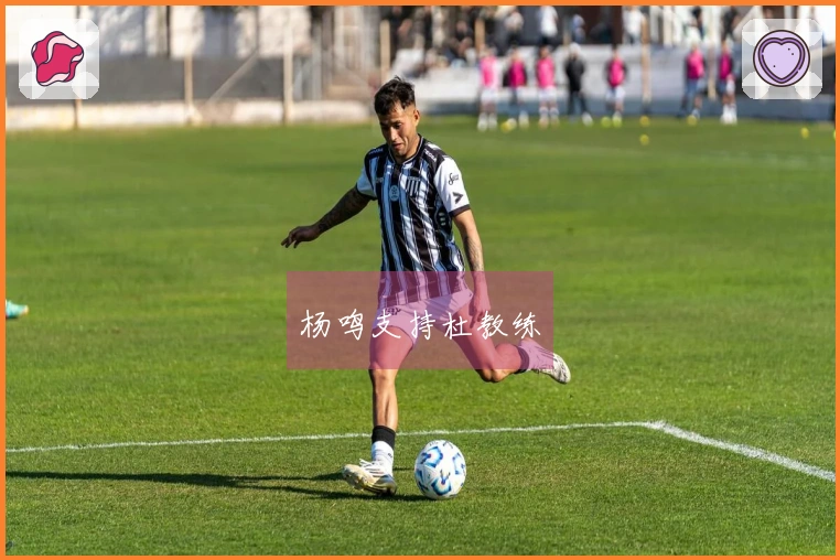 杨鸣支持杜教练