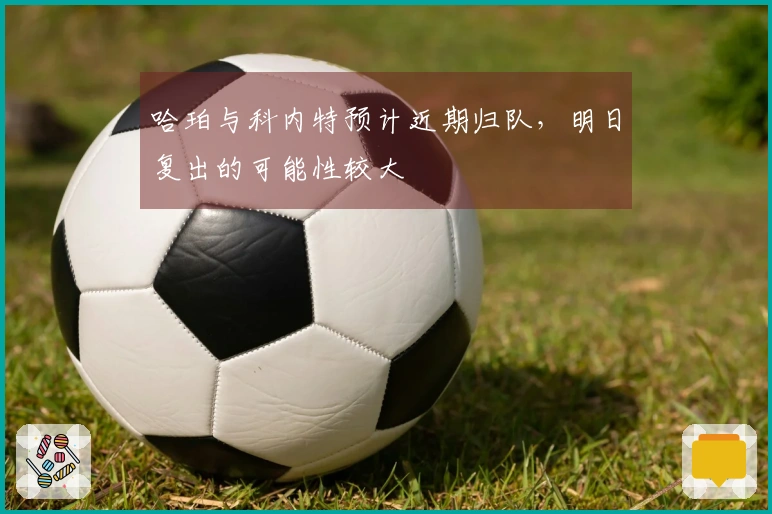 哈珀与科内特预计近期归队，明日复出的可能性较大