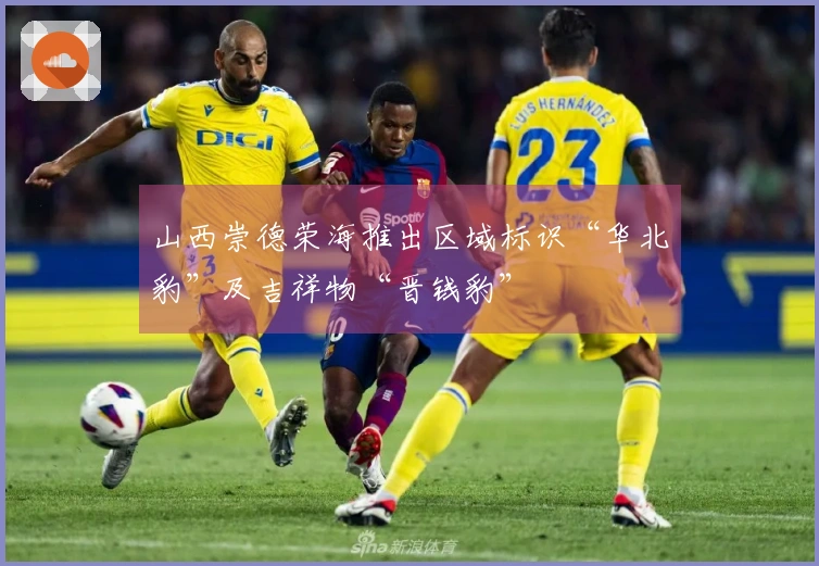 山西崇德荣海推出区域标识“华北豹”及吉祥物“晋钱豹”